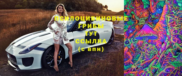 мяу мяу мука Кукмор