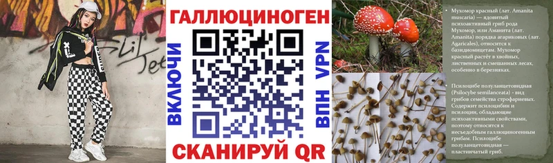 Псилоцибиновые грибы Cubensis  Купить где  Каргат 